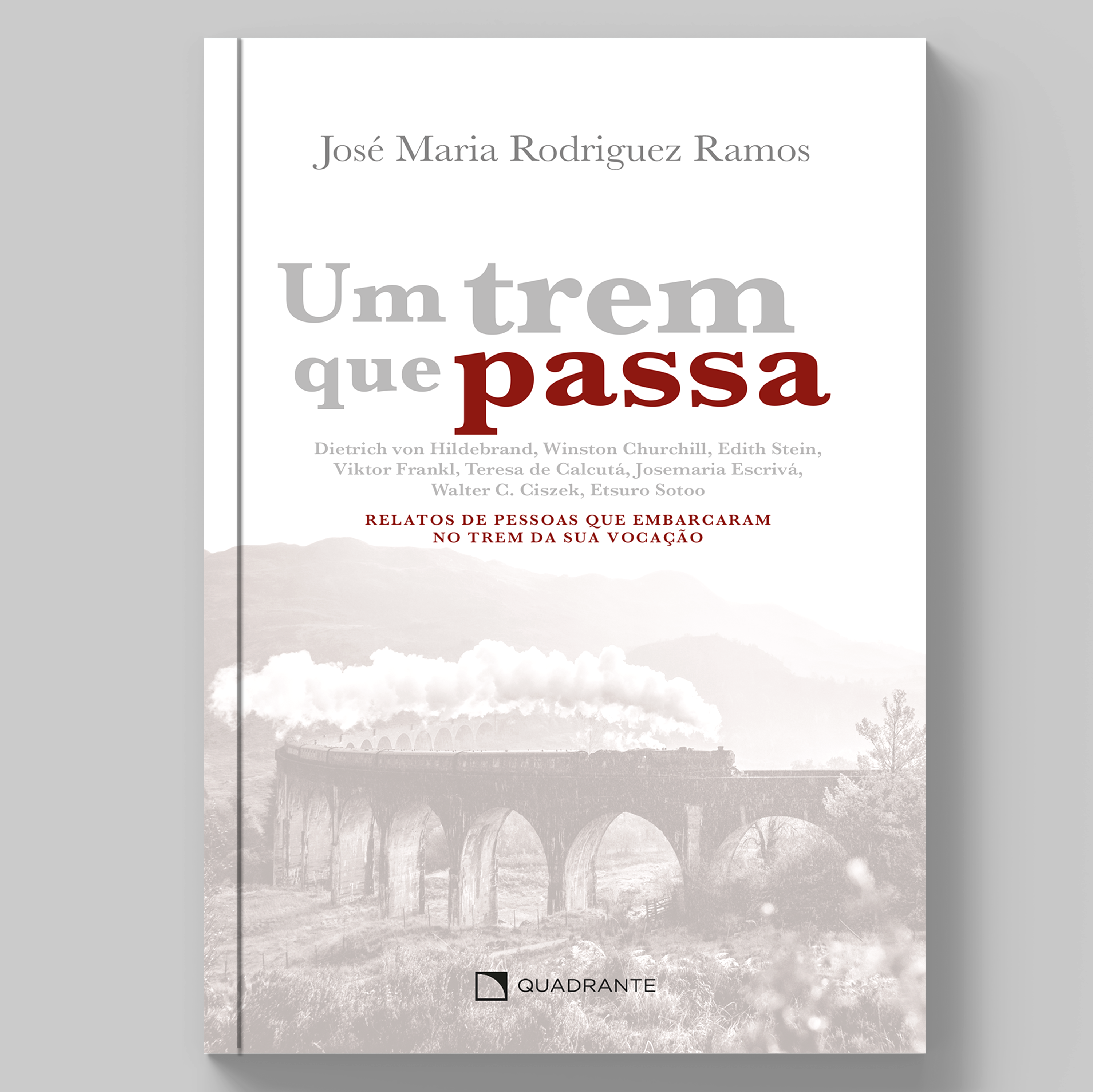 Livro Um trem que passa: Relatos de pessoas que embarcaram no trem da sua vocação
