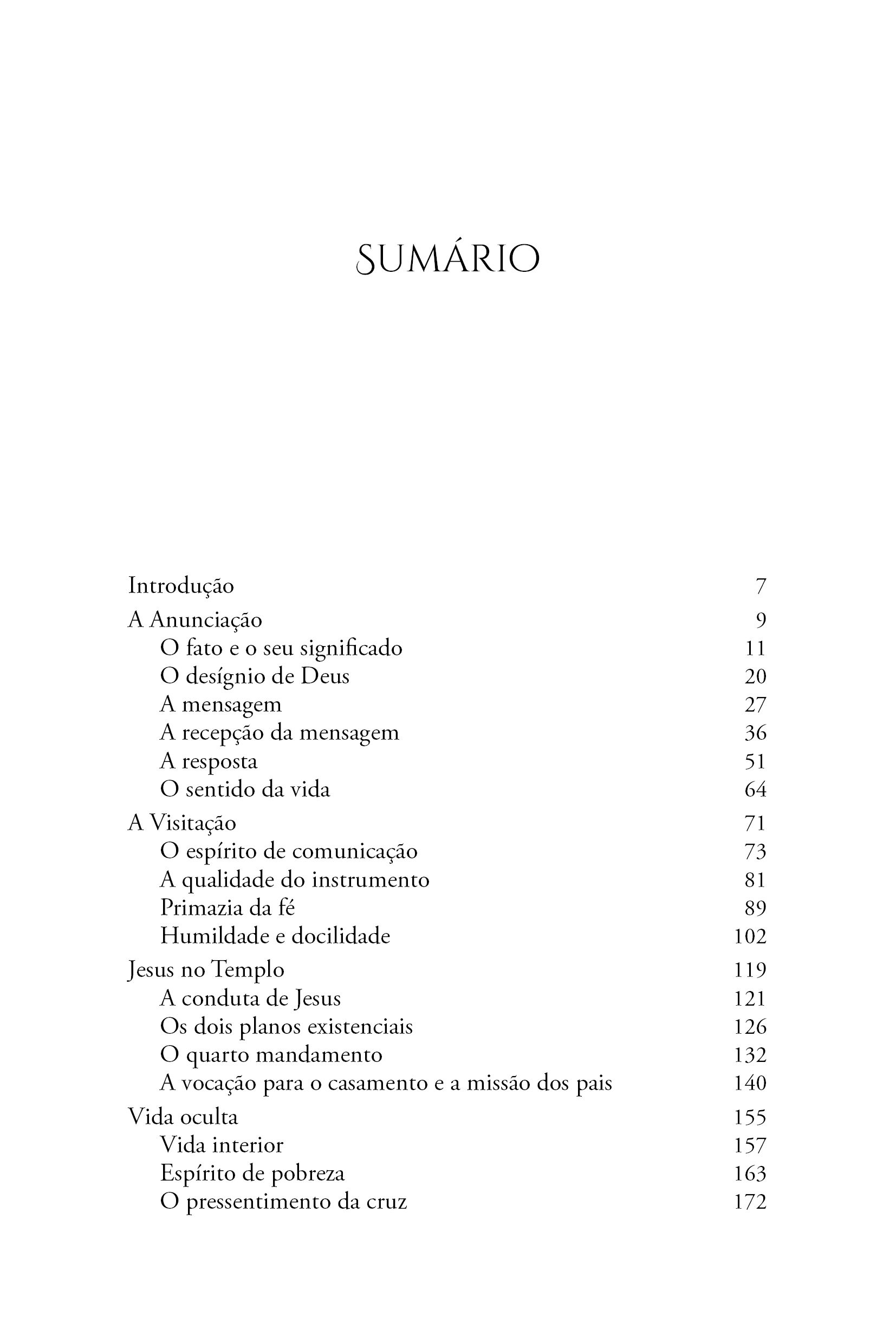 Livro A Virgem Nossa Senhora