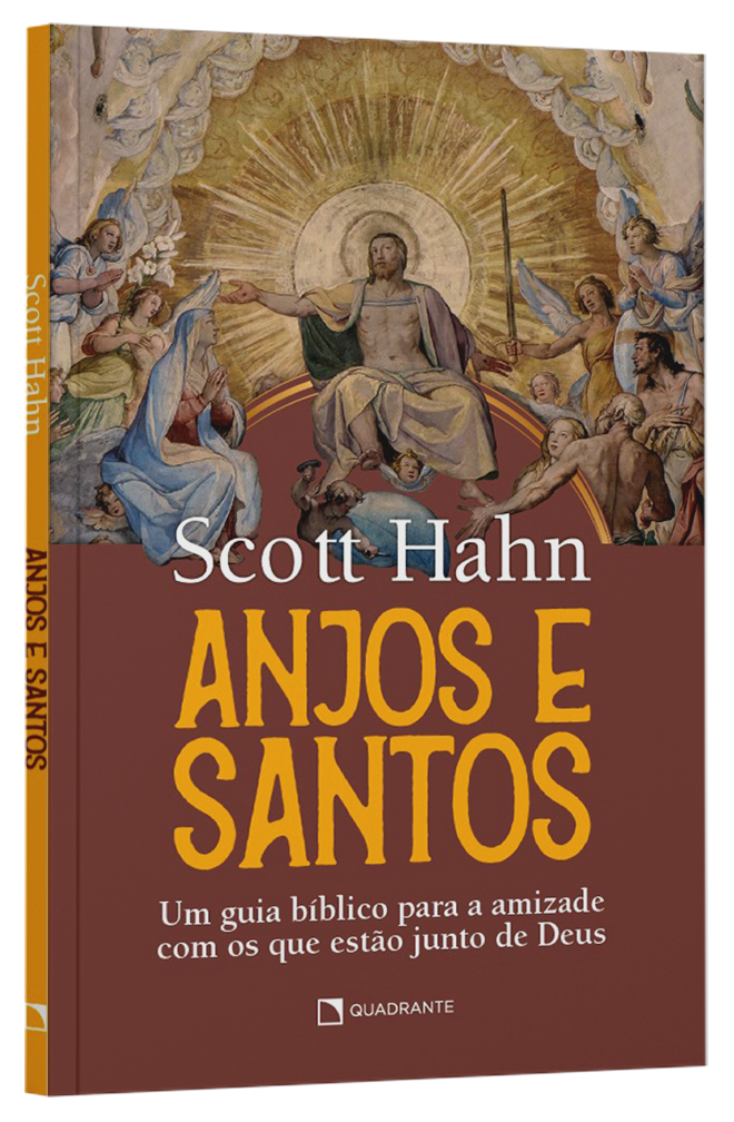 Livro Anjos e santos
