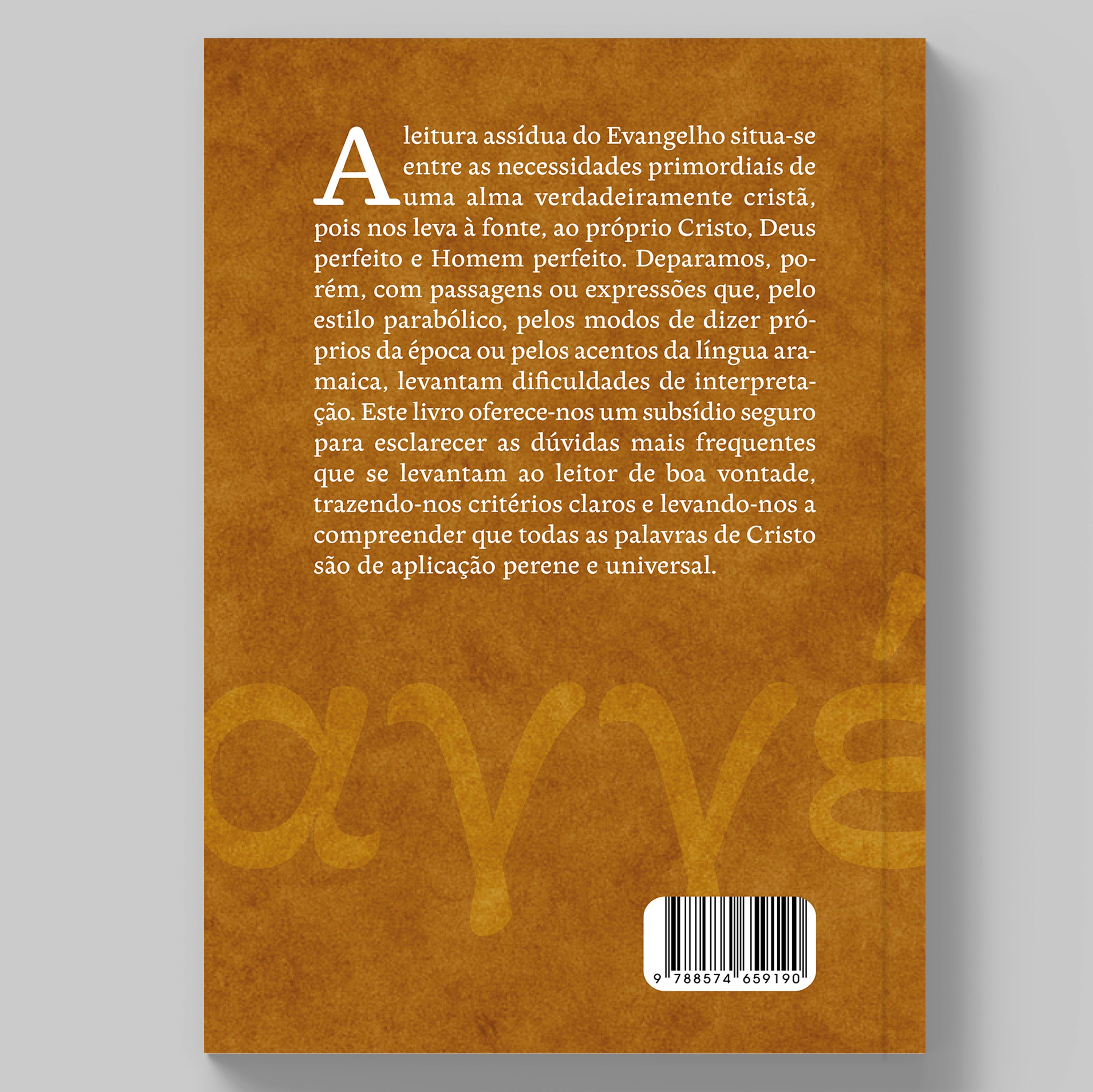 Livro Páginas difíceis do Evangelho