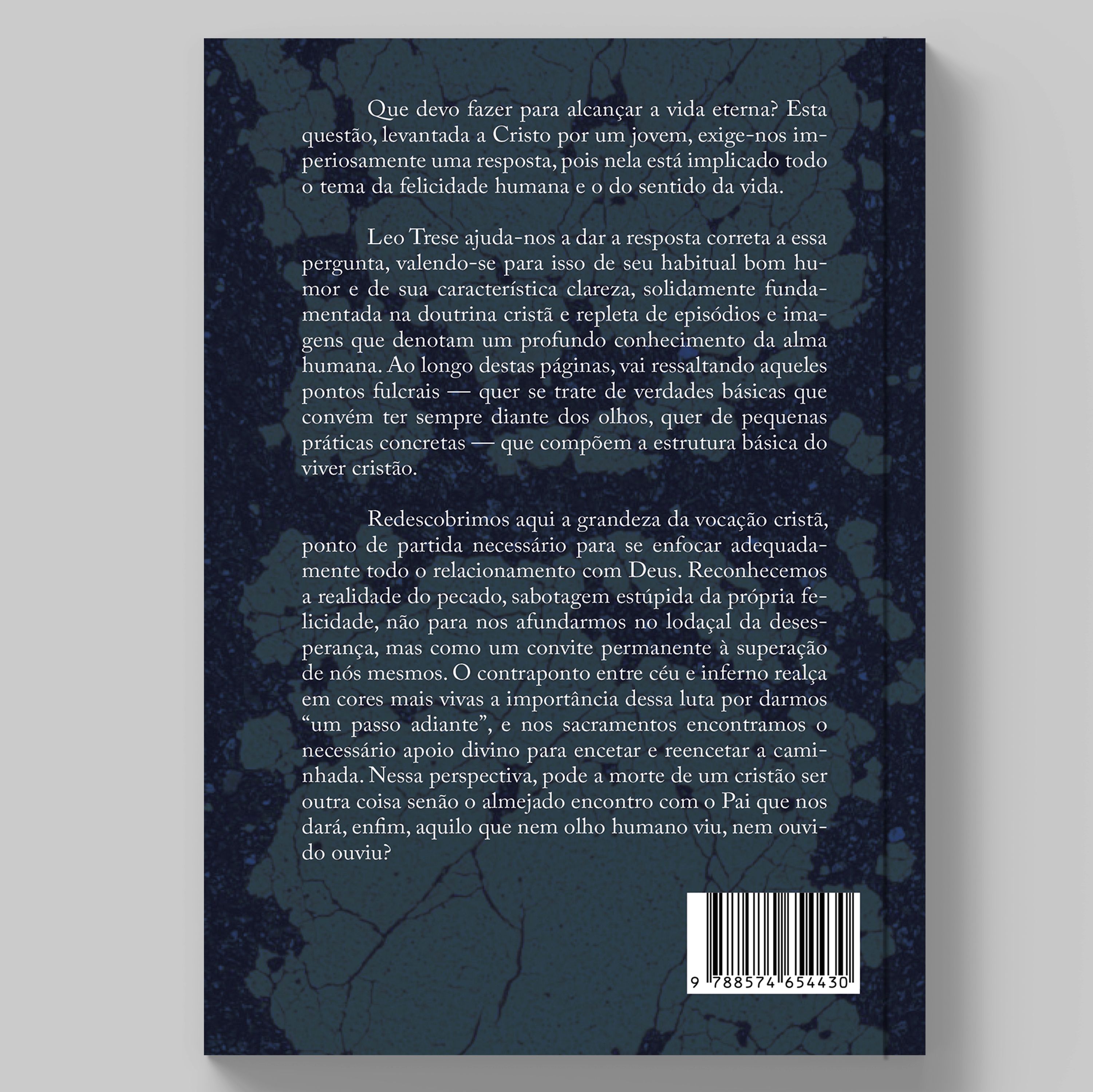 Livro A caminho do céu