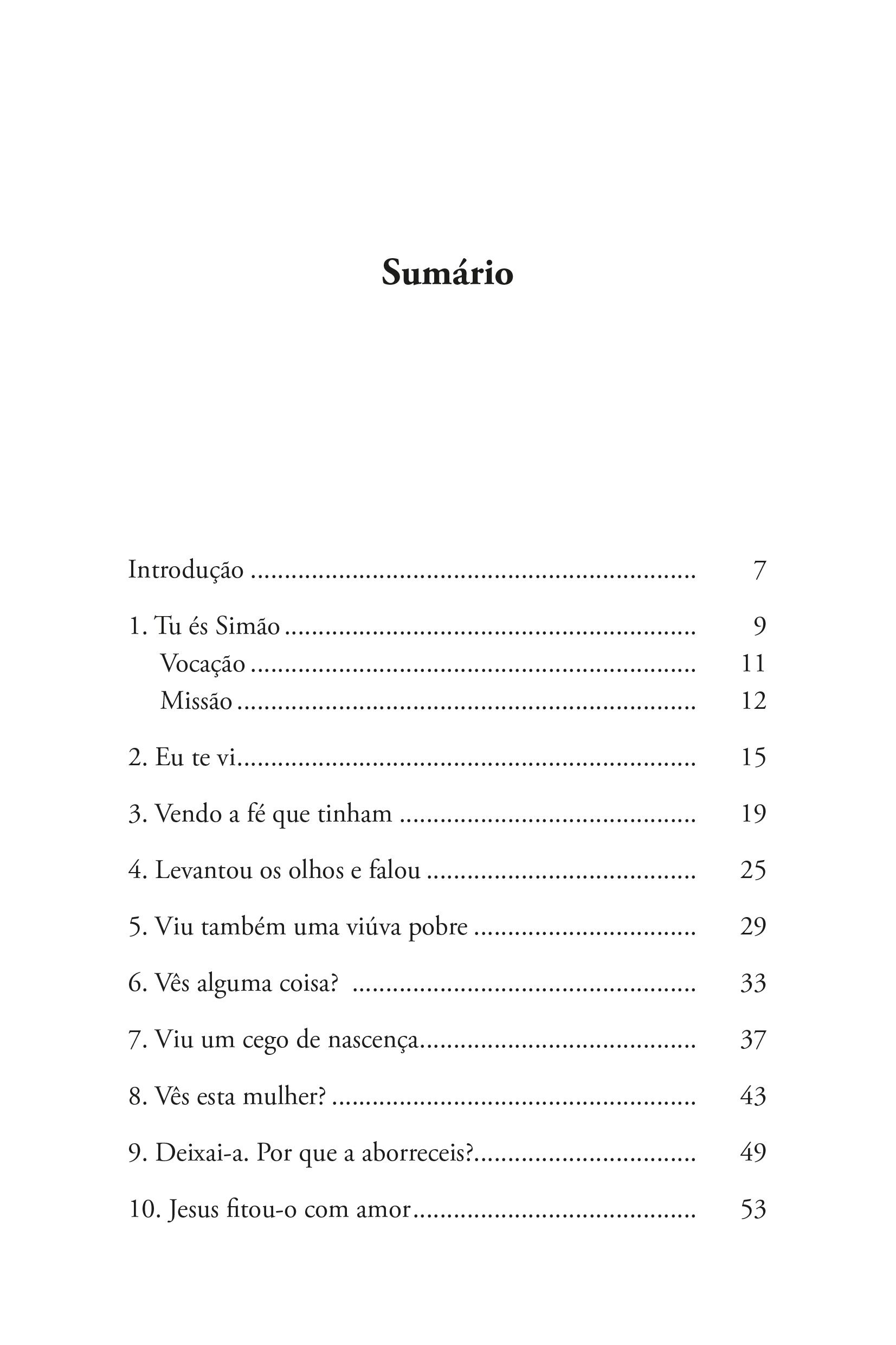 Livro O amor nos vê - 2ª Edição