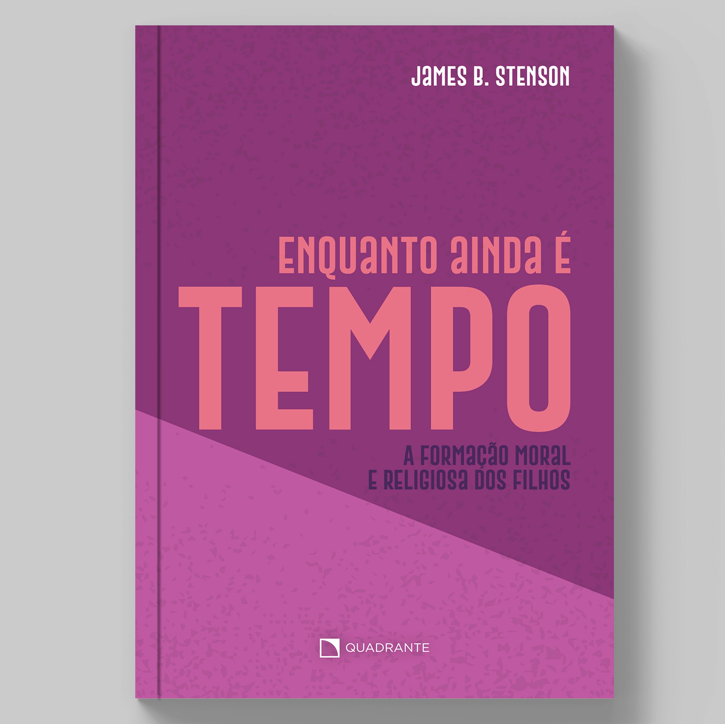 Livro Enquanto ainda é tempo...: A formação moral e religiosa dos filhos