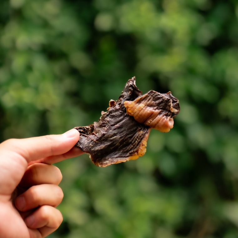 Coração Suíno Desidratado | 70g