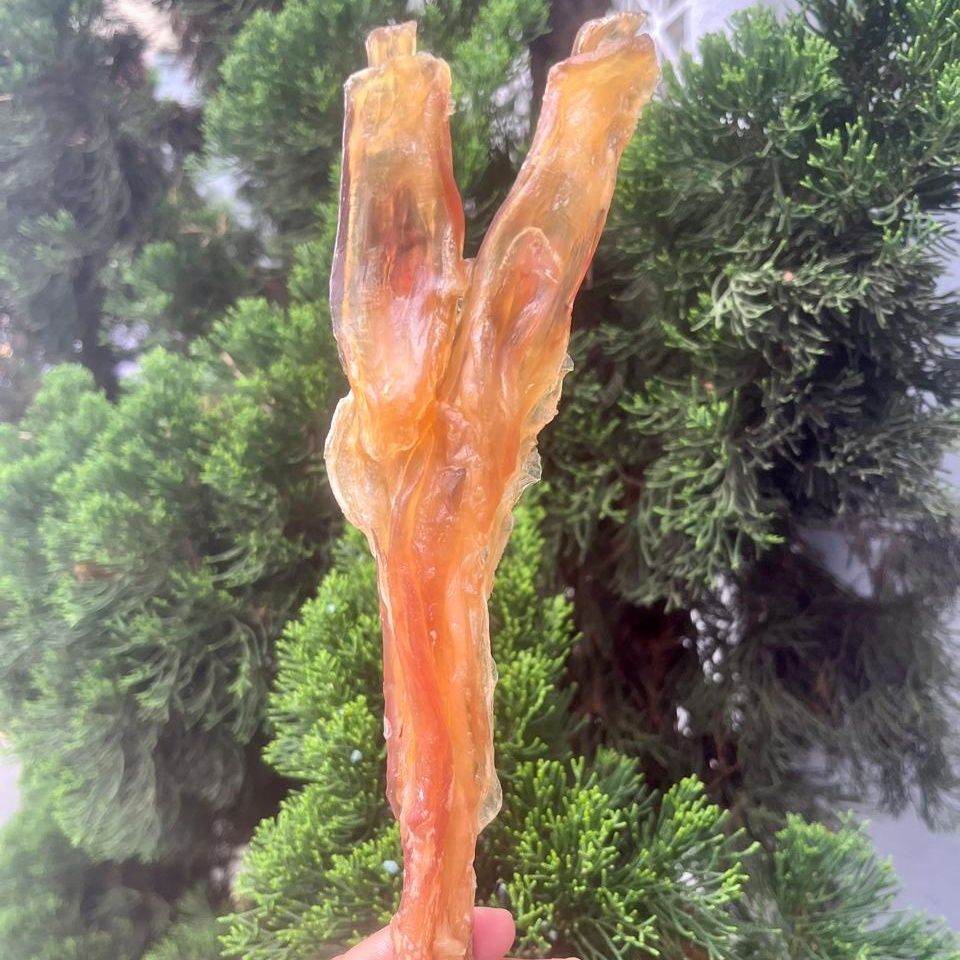 Tendão Bovino Desidratado | 100g