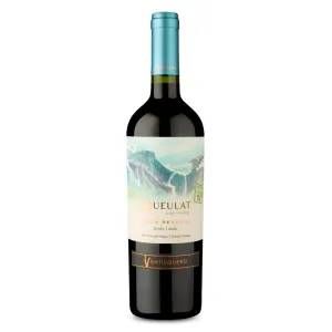 Vinho Tinto Ventisquero Queulat Syrah 750ml