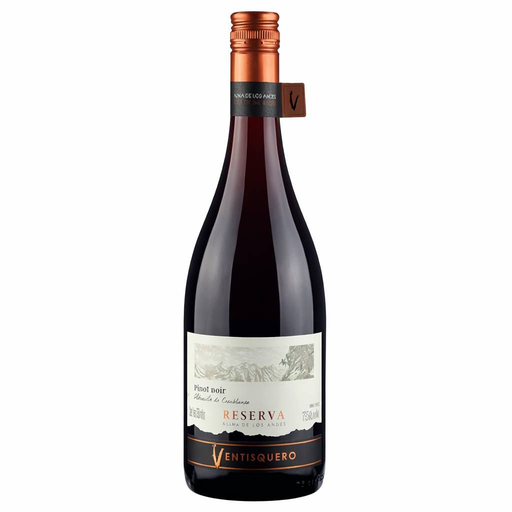 Ventisquero Alma de Los Andes Pinot Noir 750 ml