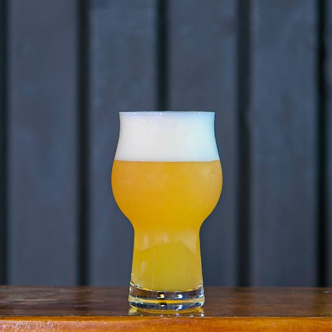 Juicy IPA Last Dance | Growler com 1L