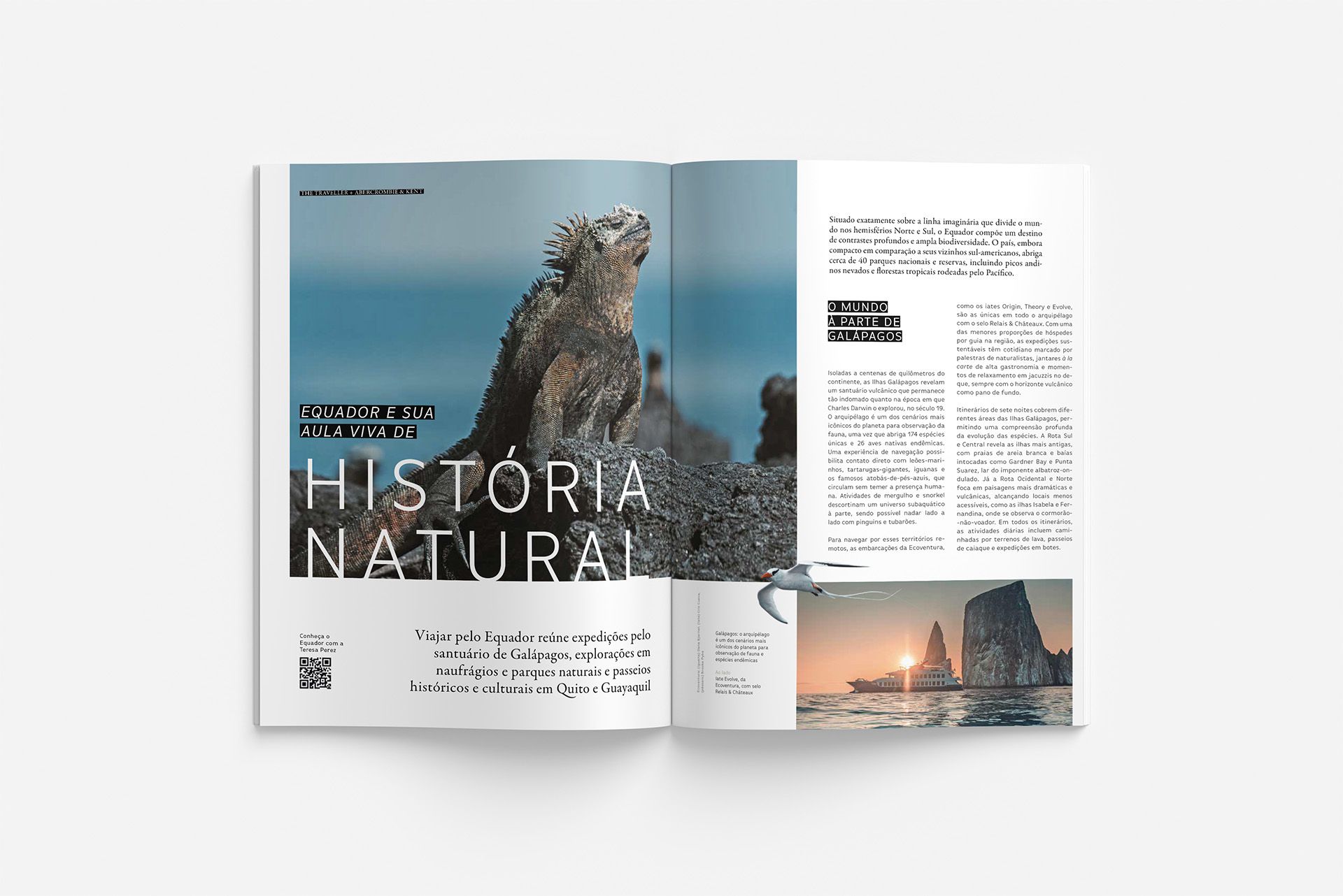 The Traveller n°121