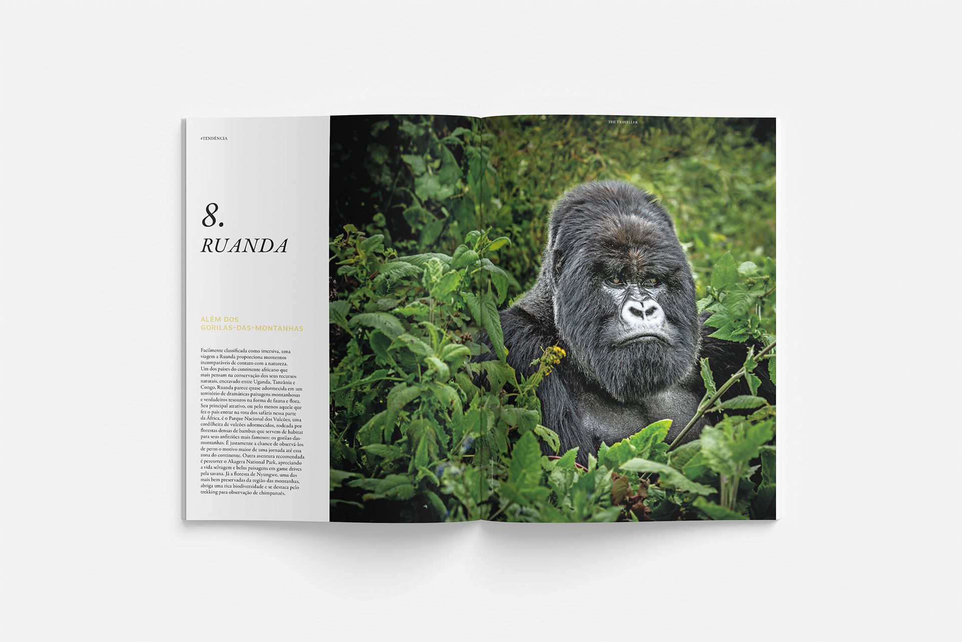 The Traveller n°120