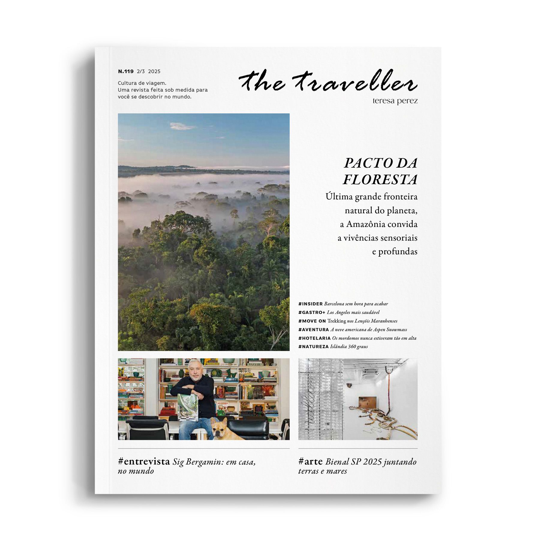 The Traveller n°119