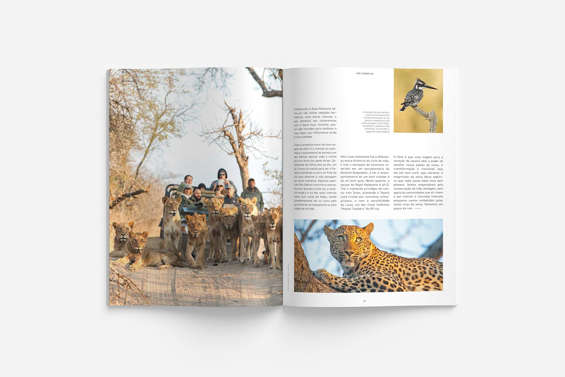 The Traveller n°119