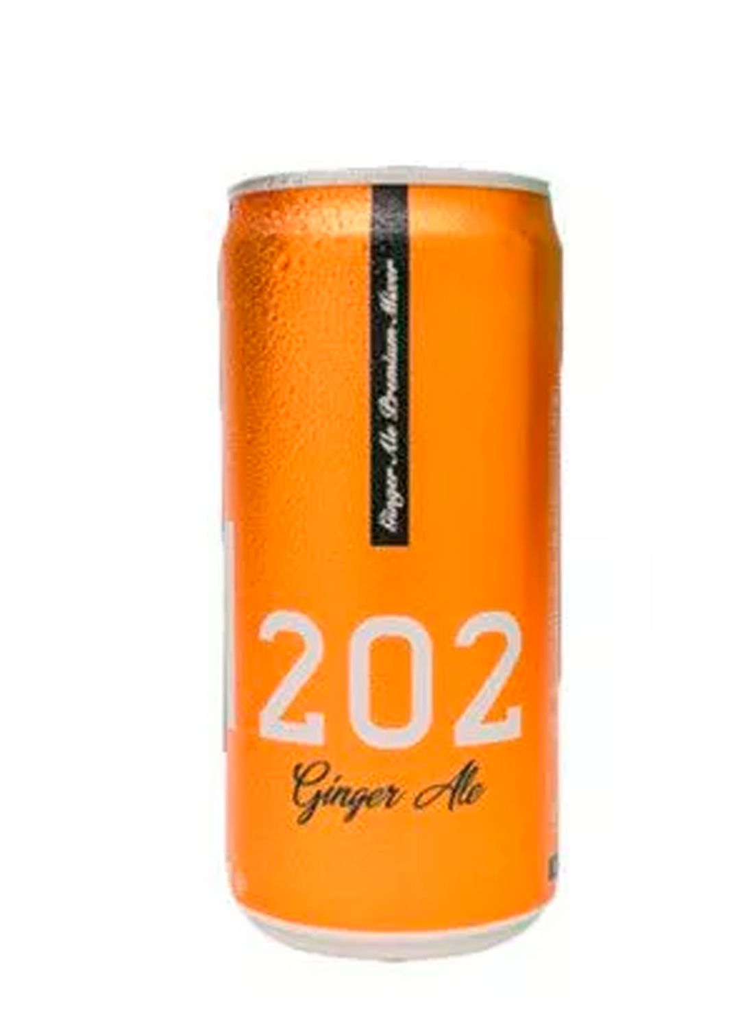 Ginger Ale - 202 - Lata - 269 ml