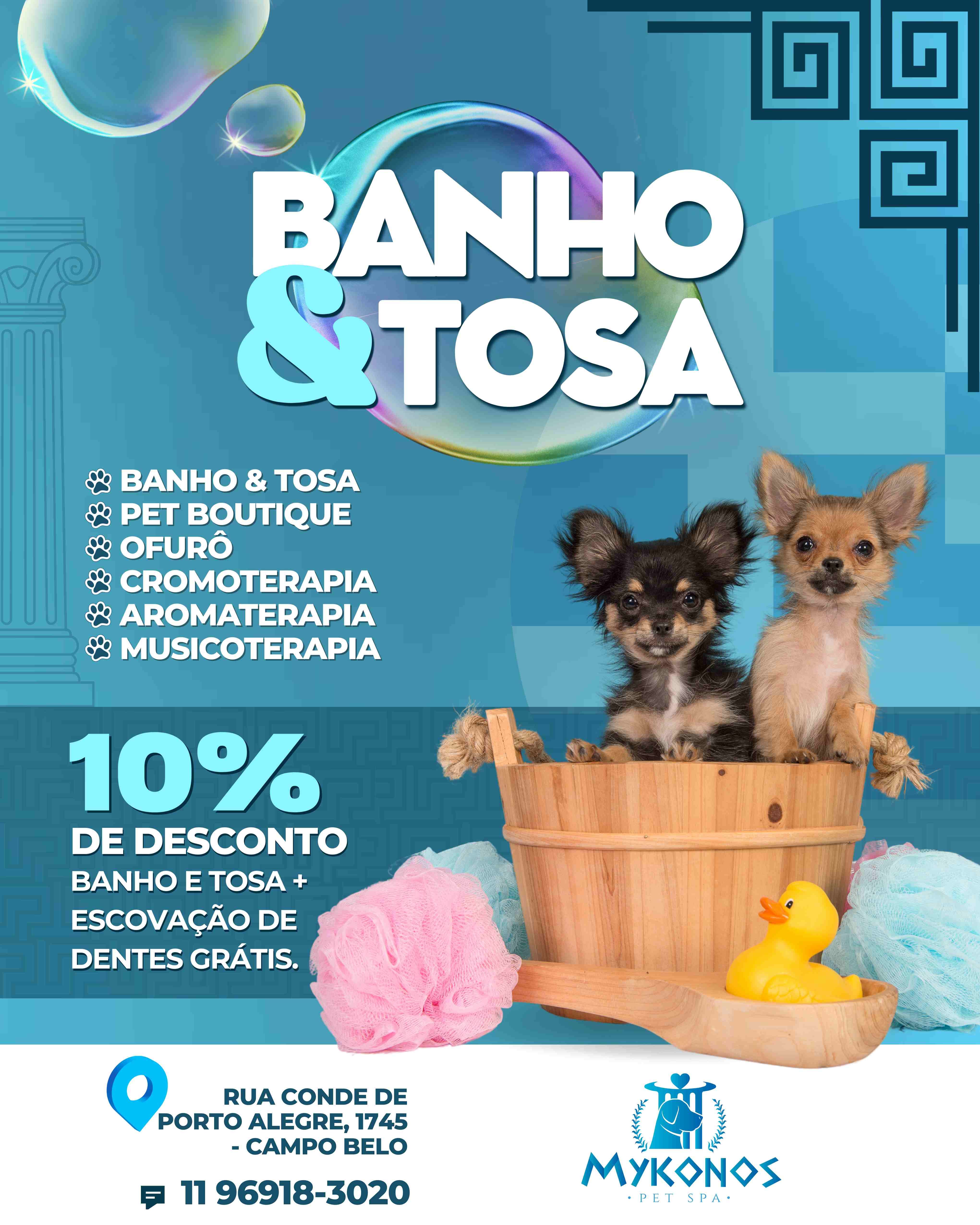 Serviços de Dog SPA - Banho e Tosa Premium