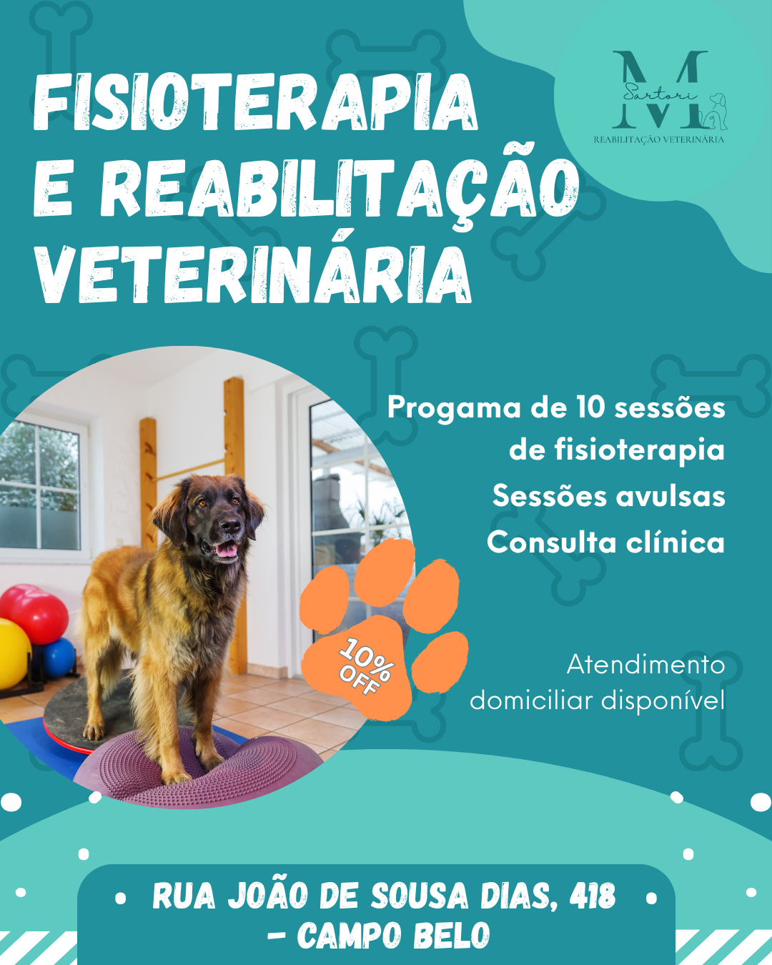 Fisioterapia e Reabilitação