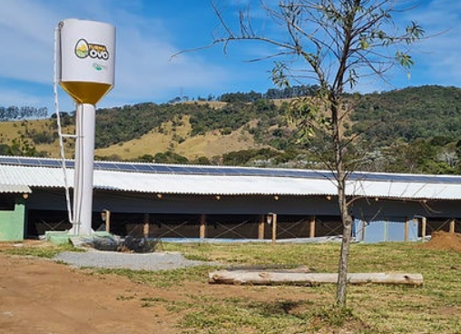 aviário moderno