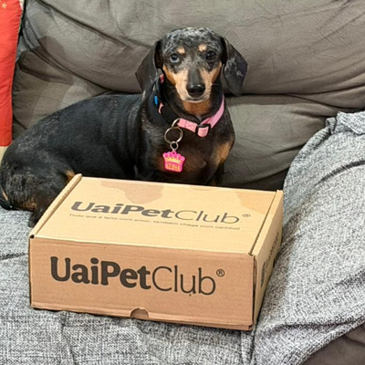 Pet 1