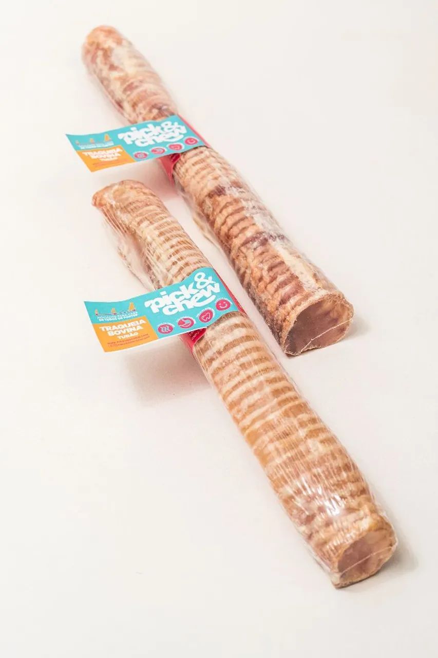 Traquéia Bovina Tubão 