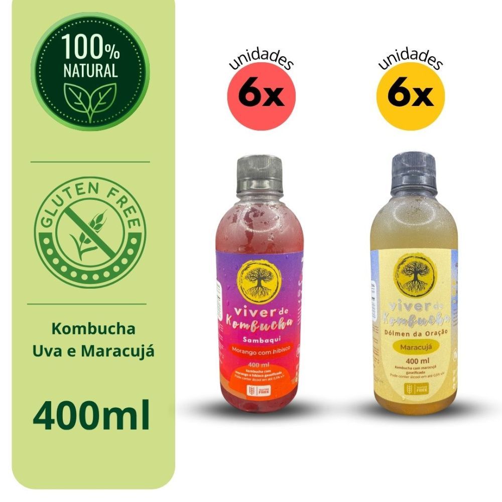 Kit Viver de Kombucha Morango com hibisco e Maracujá
