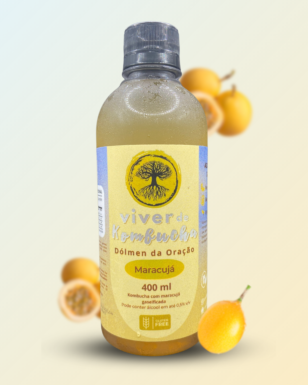 Kombucha Maracujá Dolmén da oração 400 ml