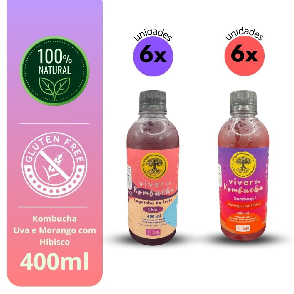 Kit Mix com 12 Viver de Kombucha Uva e Morango 400ml