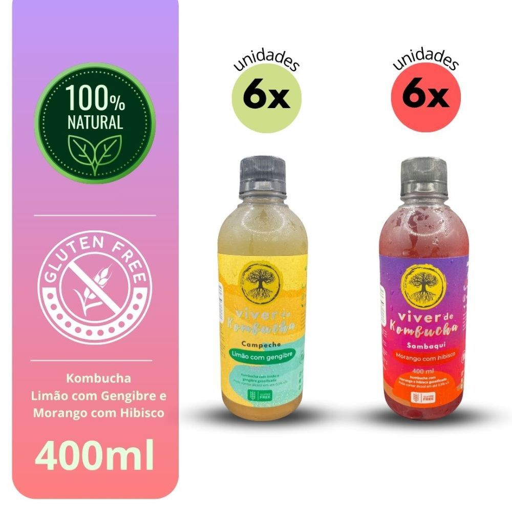 Kit Viver de Kombucha Sabor Limão e Morango