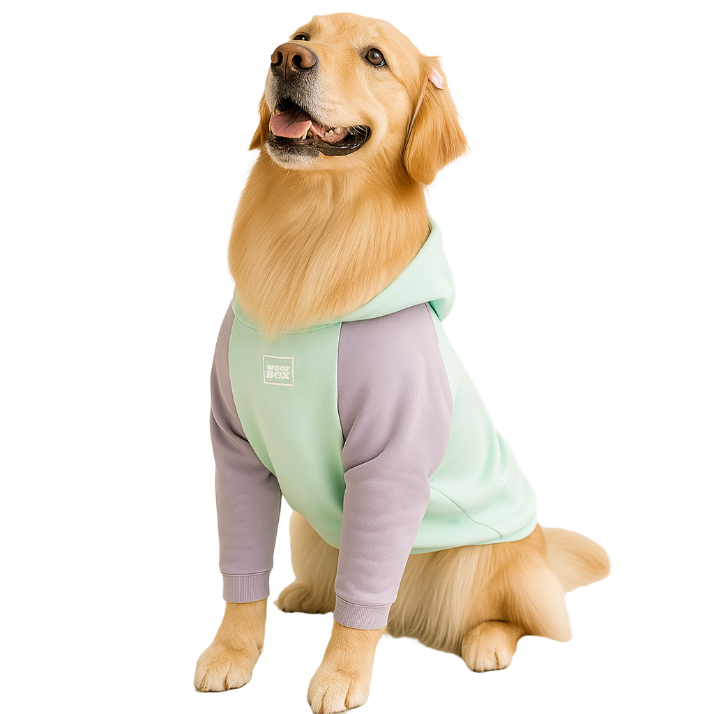 Moletom Barilo Woofbox Verde E Lilás Para Cães