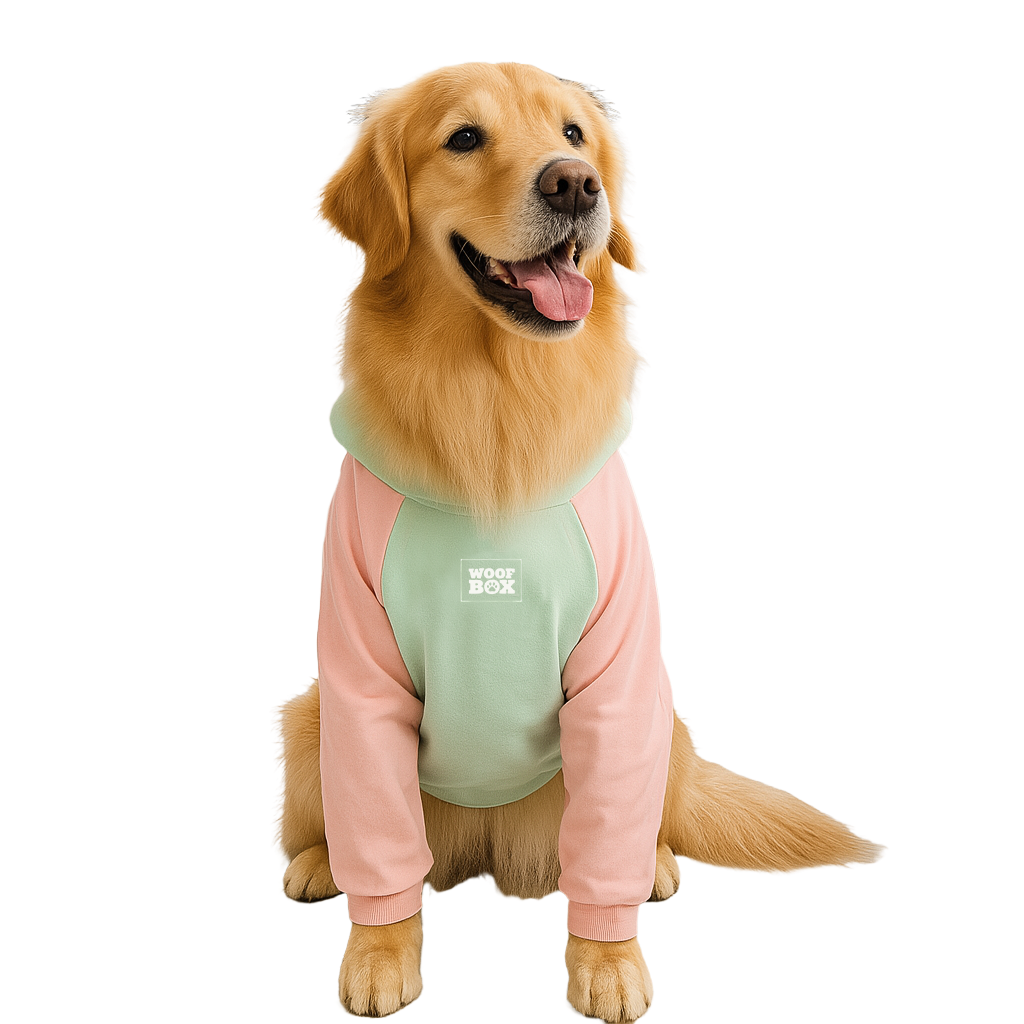 Moletom Barilo Woofbox Verde E Rosa Para Cães