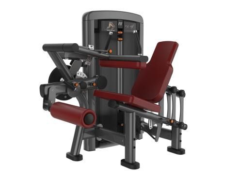 FLEXORA/EXTENSORA ZAION FITNES