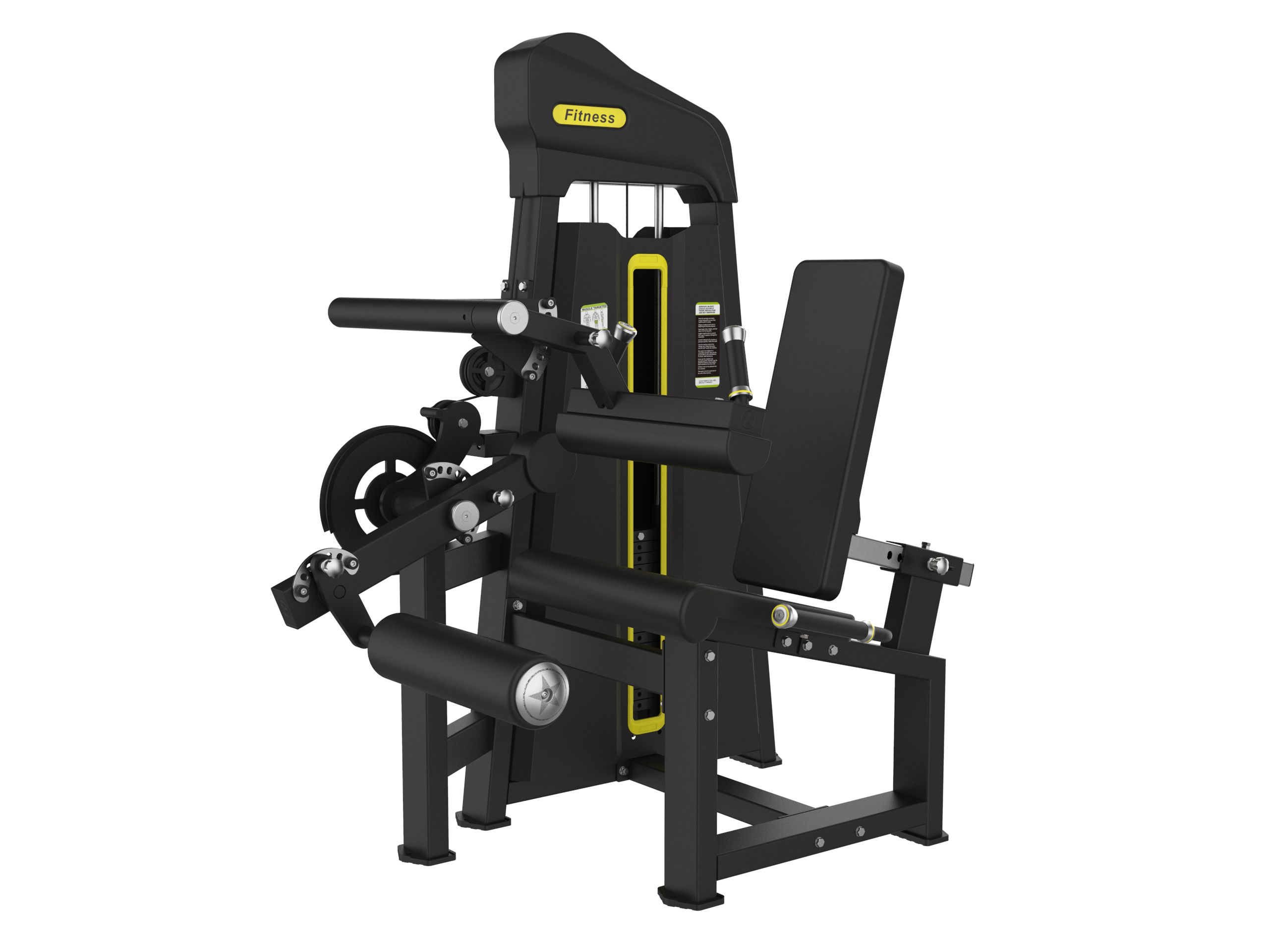 CADEIRA FLEXORA E EXTENSORA