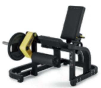 CADEIRA EXTENSORA ZAION MAXIMUM