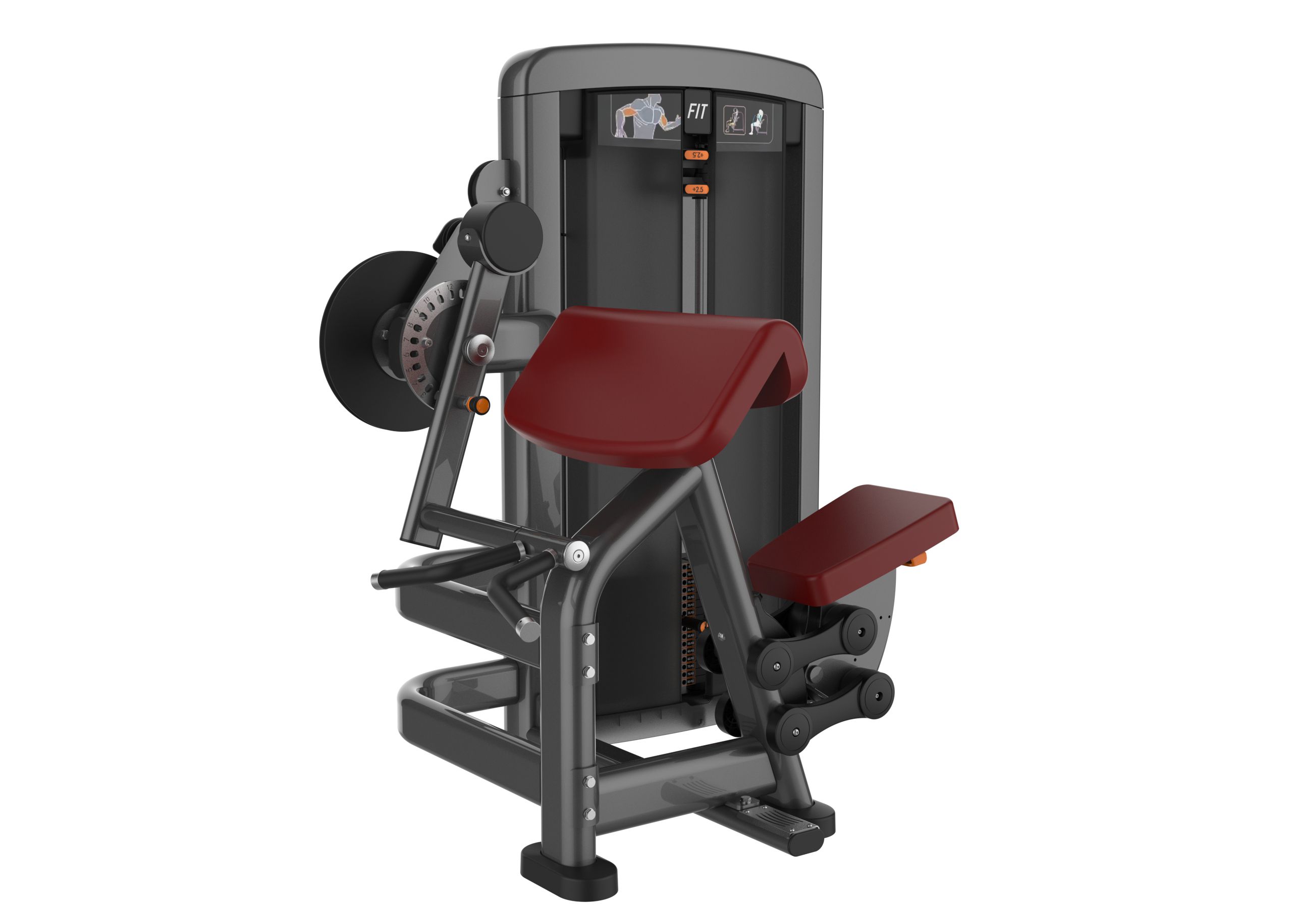 BÍCEPS E TRÍCEPS ZAION FITNESS