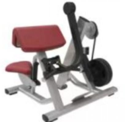 BICEPS ZAION FITNESS